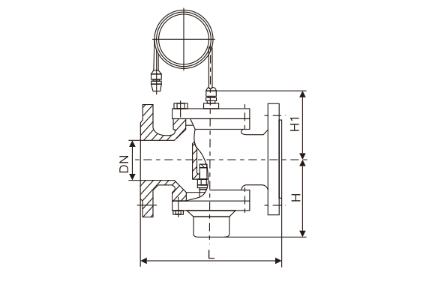 自力式壓差控(kong)制閥(圖1)