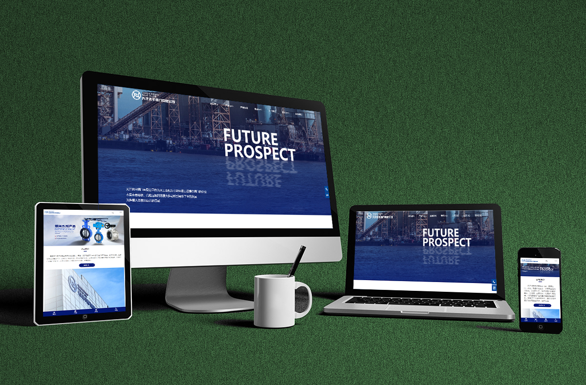 熱烈慶賀(he)南京博高(gāo)閥門有限(xiàn)公司網站(zhan)正式開通(tōng)