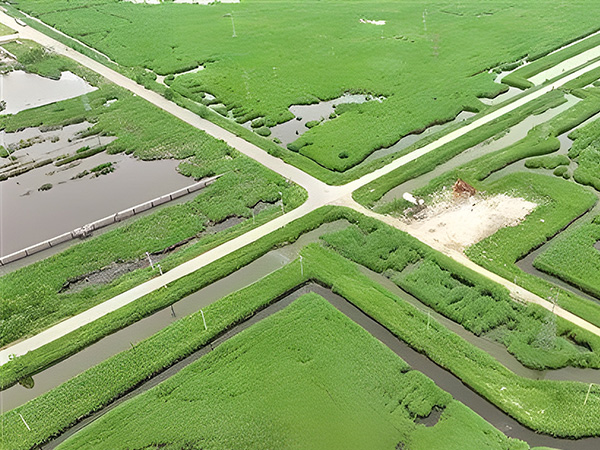 打(da)造綠色低(dī)碳油田 做(zuò)綠色發展(zhǎn)的“頂梁柱(zhu)”